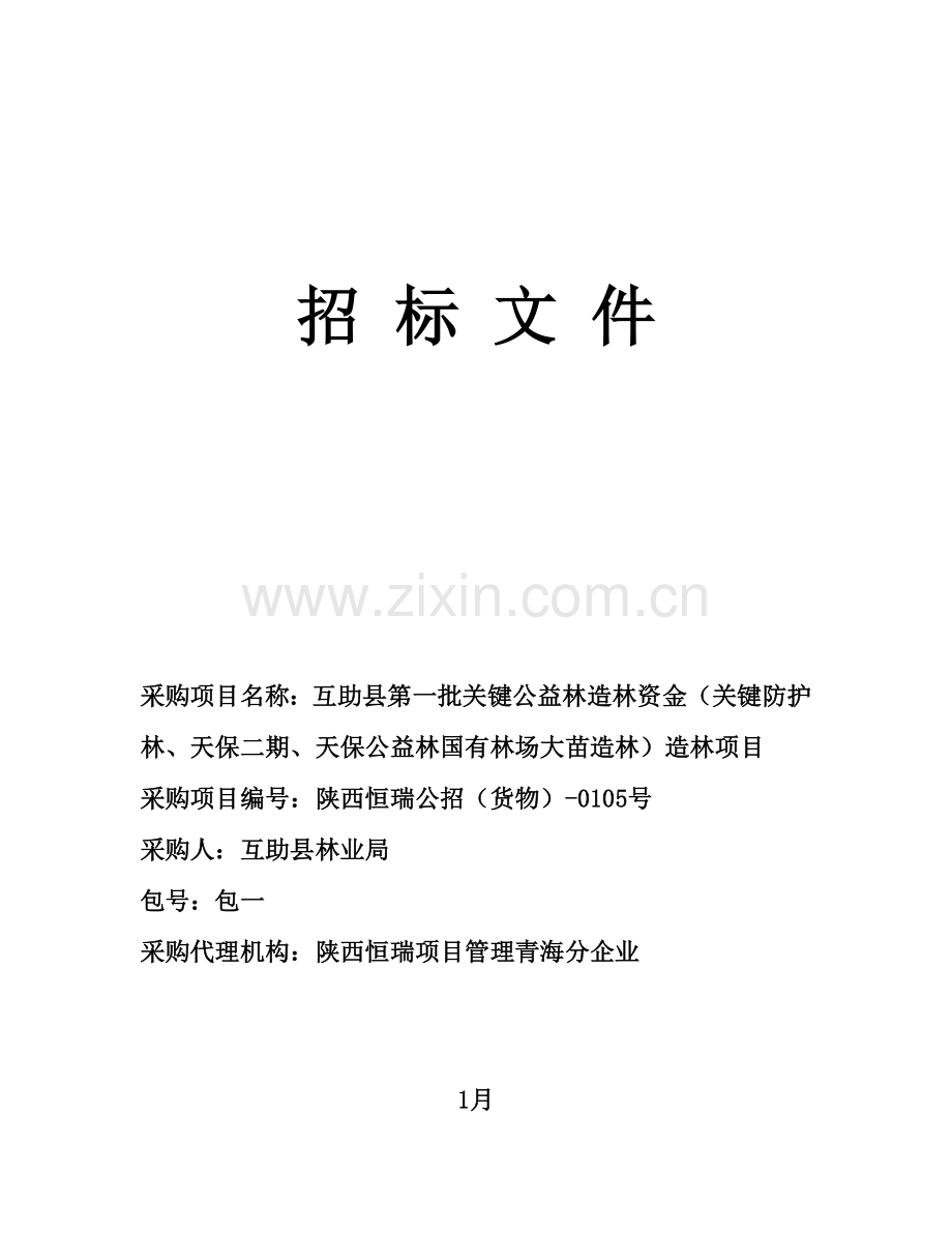 重点公益林造林资金项目招标文件模板.doc_第1页