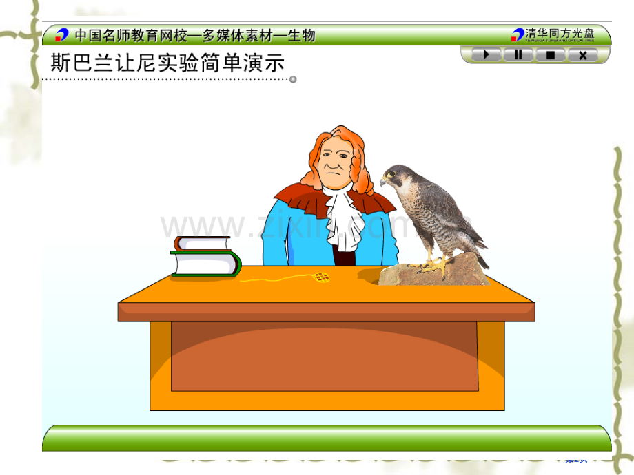 降低化学反应活化能的酶有视频有动画省公共课一等奖全国赛课获奖课件.pptx_第2页