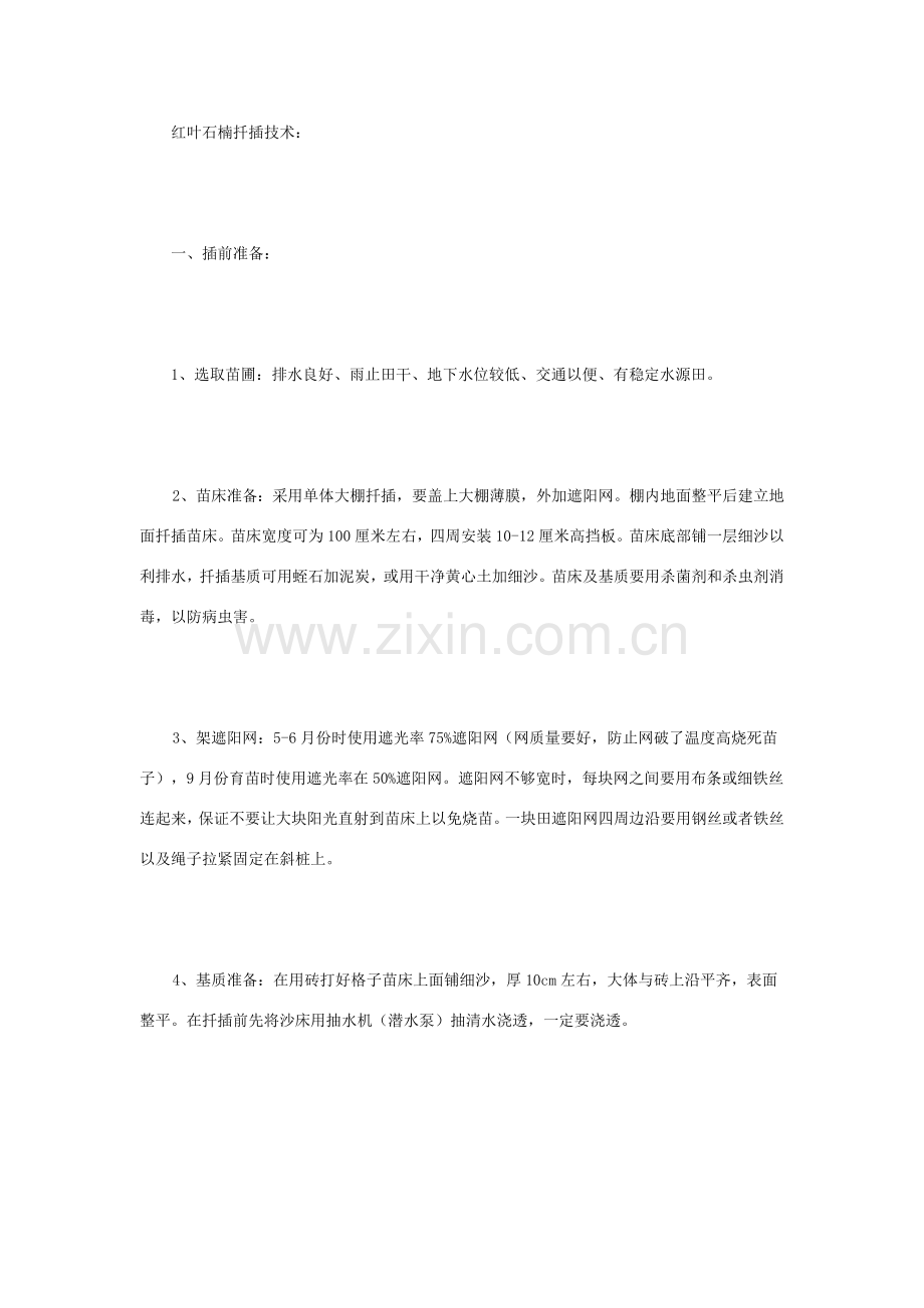 红叶石楠的扦插关键技术.doc_第1页