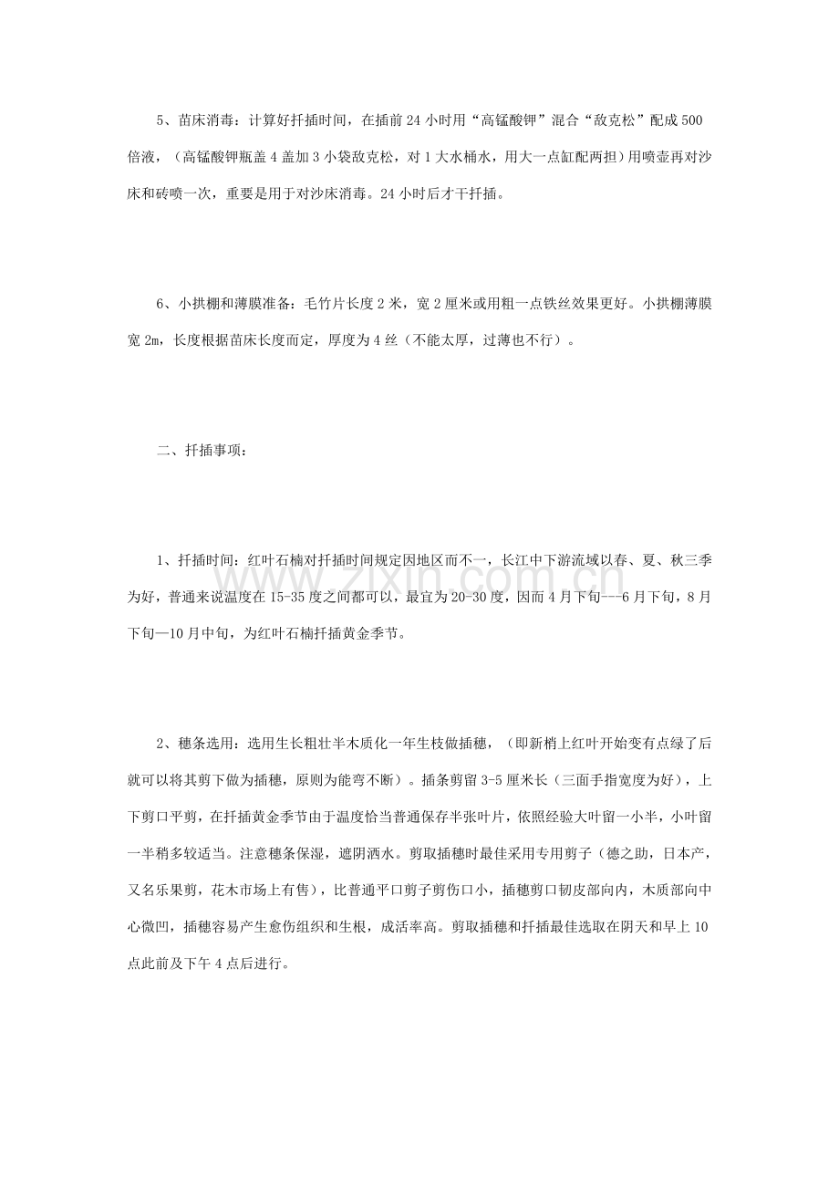 红叶石楠的扦插关键技术.doc_第2页