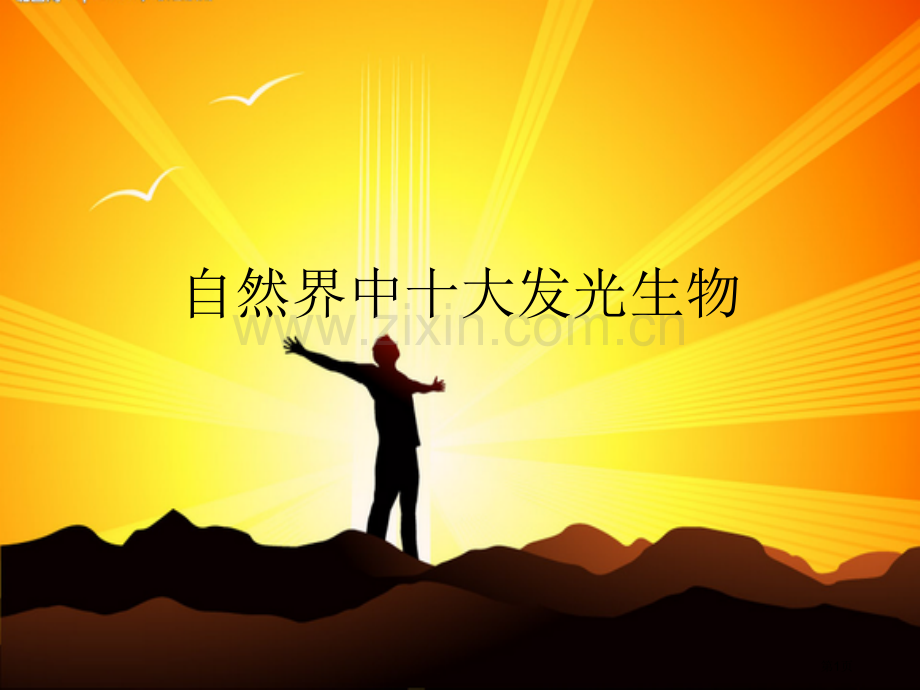 自然界中的十大发光生物省公共课一等奖全国赛课获奖课件.pptx_第1页