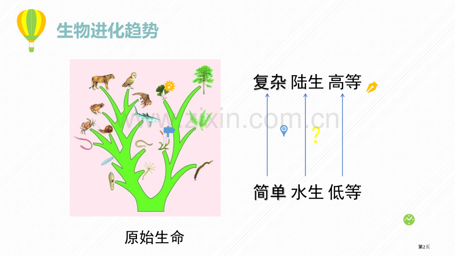 生物的进化优质课件省公开课一等奖新名师优质课比赛一等奖课件.pptx_第2页