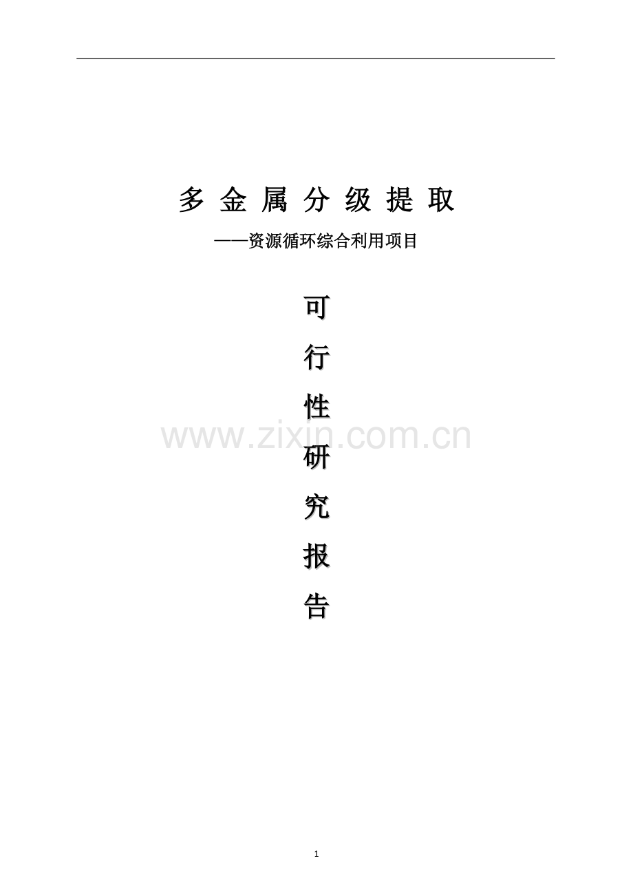 多金属分极提取项目可行性研究报告.doc_第1页