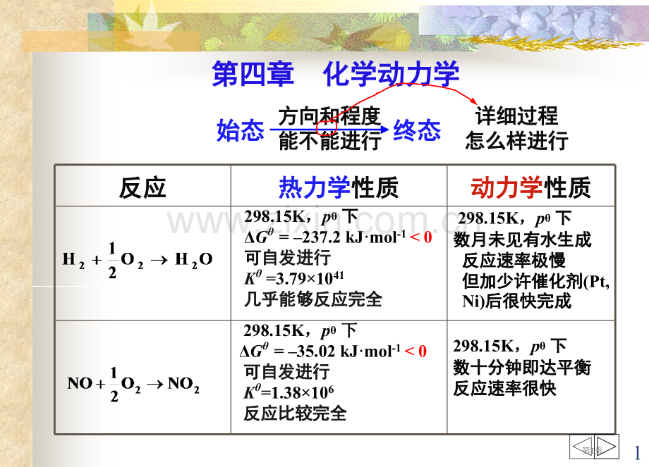 化学动力学生工08级省公共课一等奖全国赛课获奖课件.pptx_第1页
