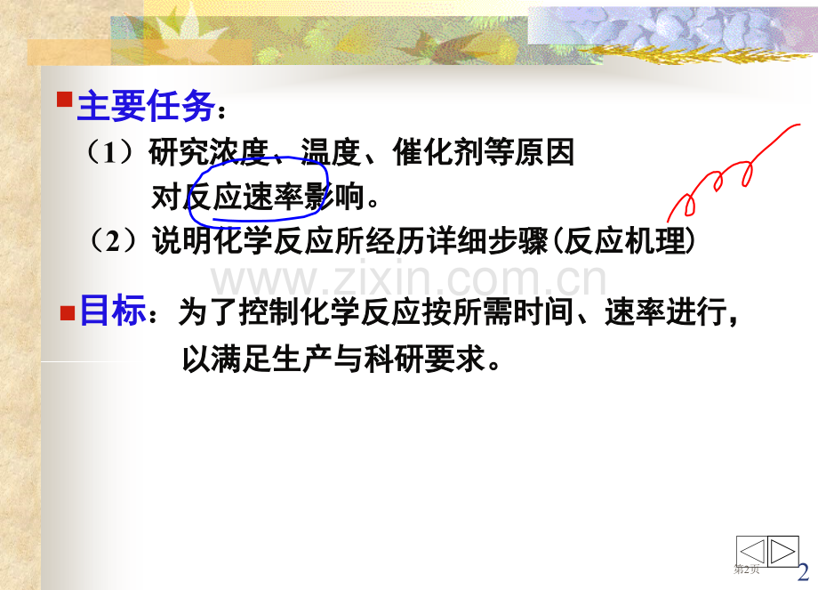 化学动力学生工08级省公共课一等奖全国赛课获奖课件.pptx_第2页