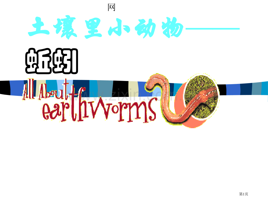 三年级上册科学第二单元蚯蚓市公开课一等奖百校联赛特等奖课件.pptx_第1页