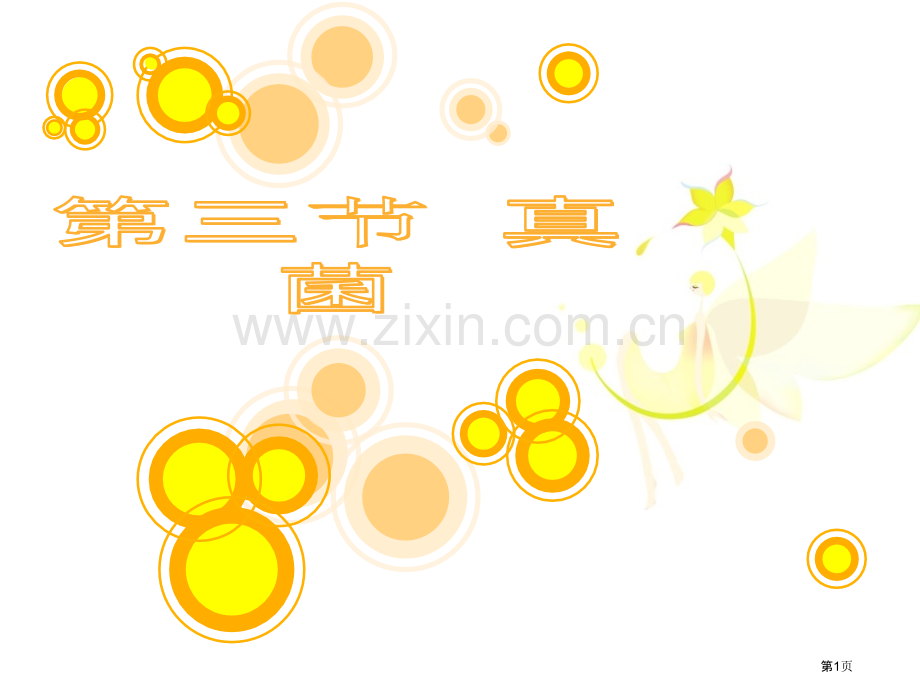 八年级生物真菌省公共课一等奖全国赛课获奖课件.pptx_第1页