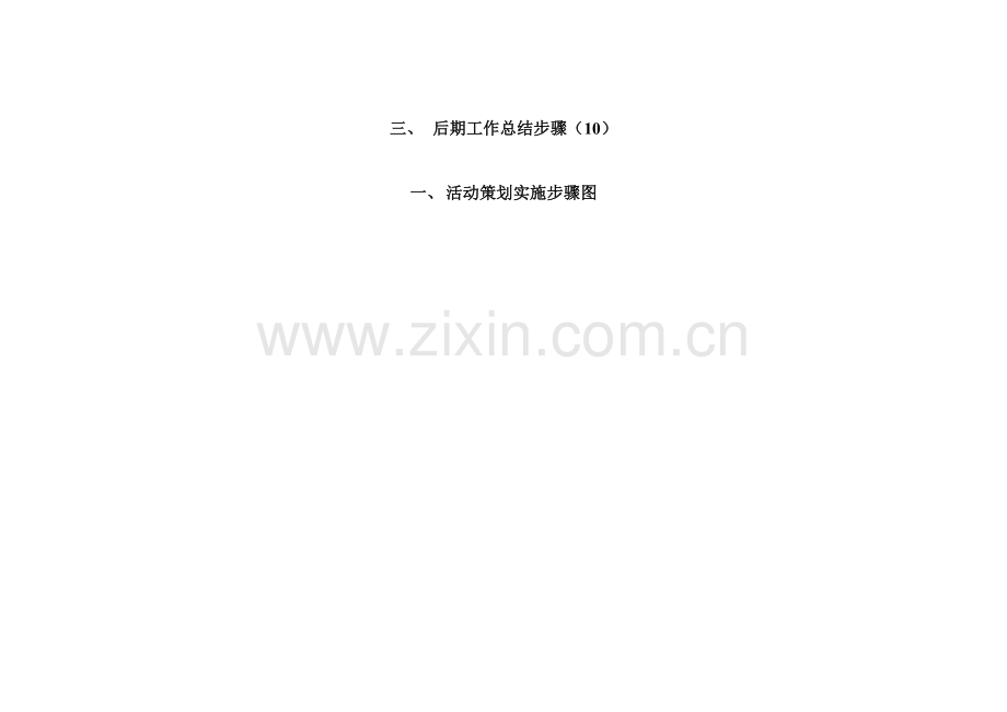 活动执行专业方案.docx_第2页