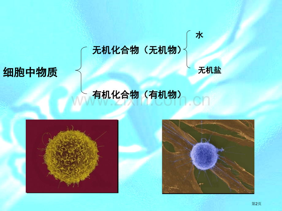 有机化合物和生物大分子省公共课一等奖全国赛课获奖课件.pptx_第2页