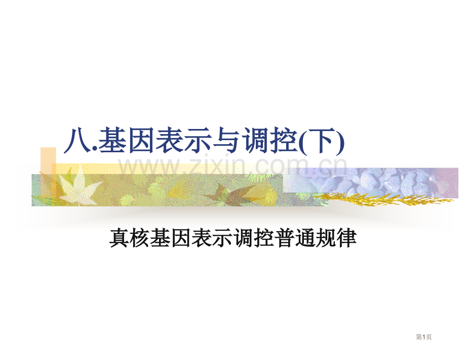 真核生物的表达调控省公共课一等奖全国赛课获奖课件.pptx_第1页