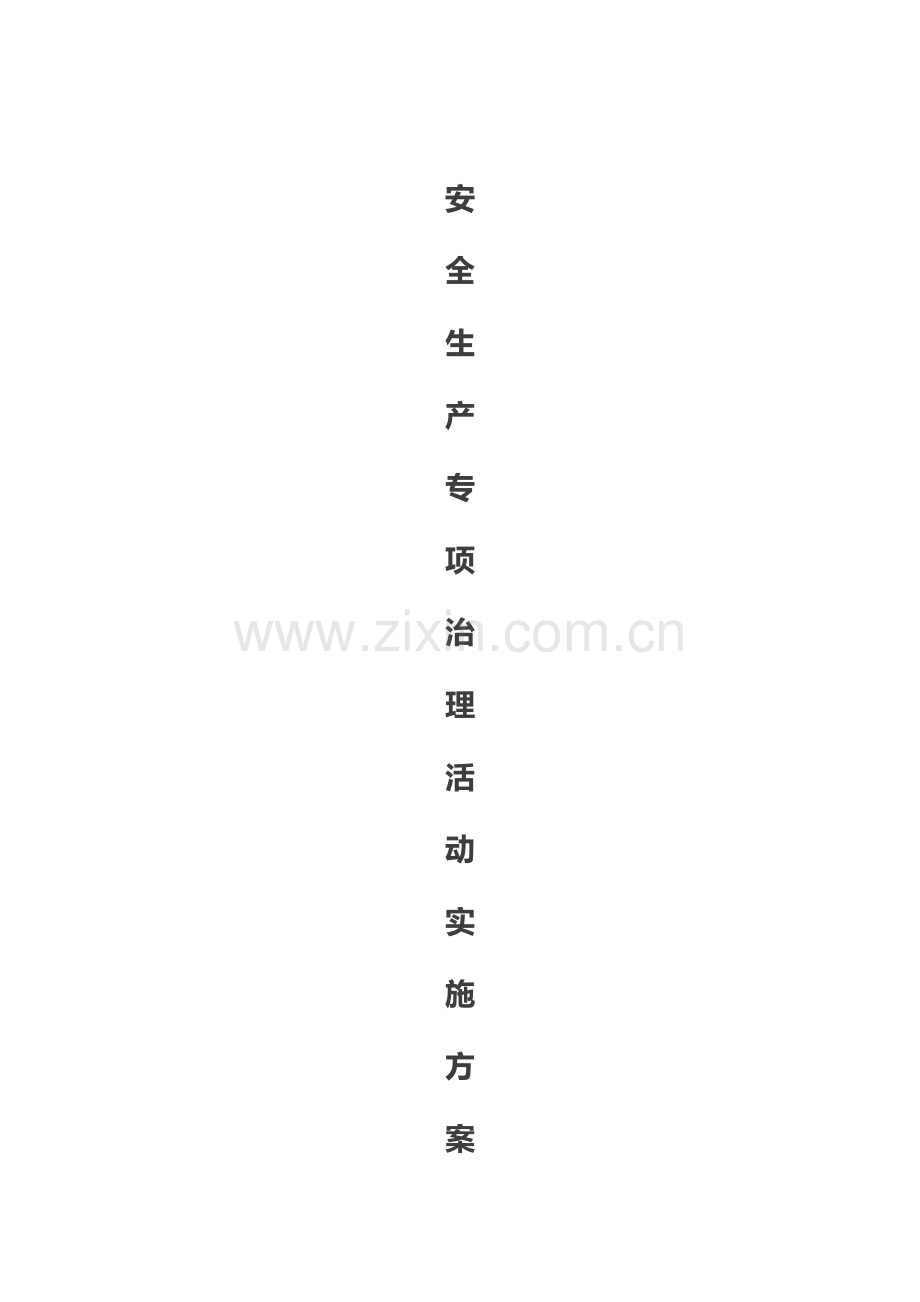 专项整治行动具体实施专项方案.doc_第1页
