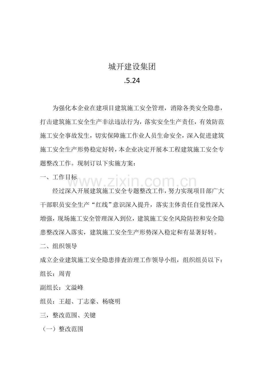 专项整治行动具体实施专项方案.doc_第2页