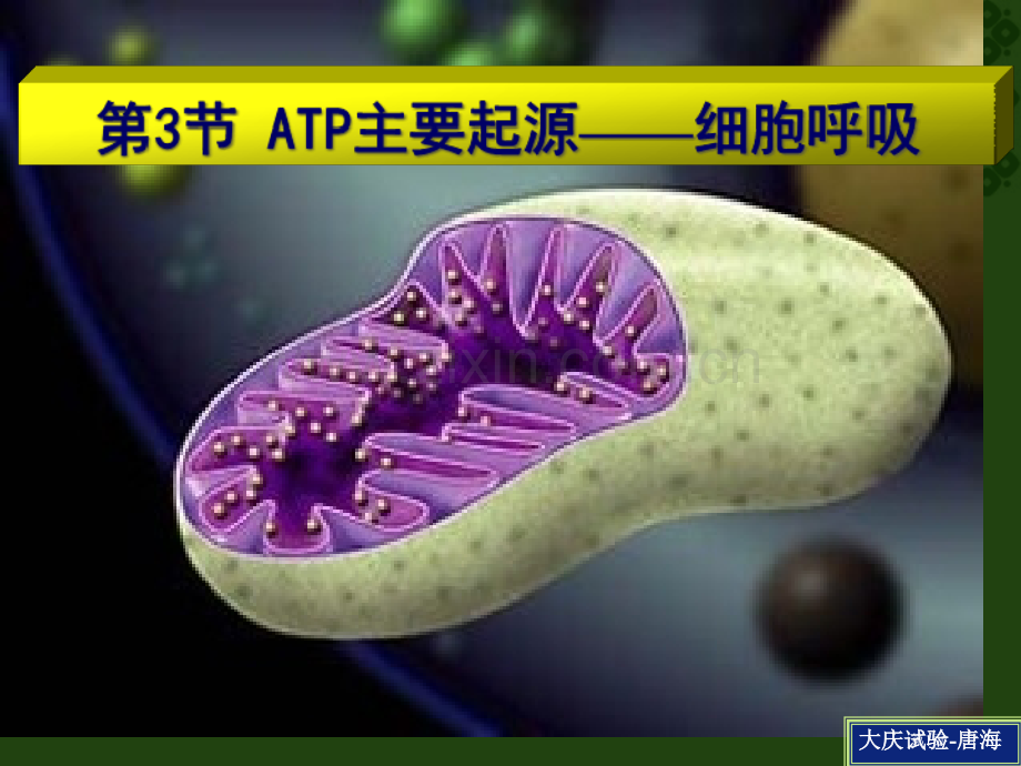人教版教学atp的主要来源细胞呼吸唐海省公共课一等奖全国赛课获奖课件.pptx_第1页