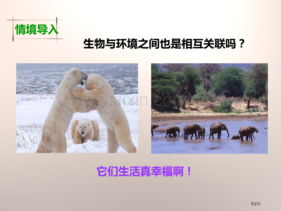 原来是相互关联的生物的多样性省公开课一等奖新名师优质课比赛一等奖课件.pptx_第2页