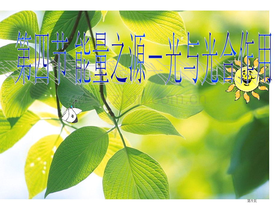 生物能量之源光与光合作用新人教版必修-省公共课一等奖全国赛课获奖课件.pptx_第1页