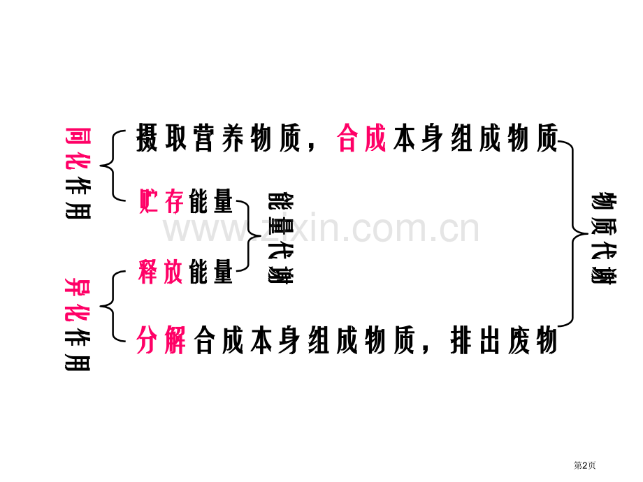 生物体内的化学反应省公共课一等奖全国赛课获奖课件.pptx_第2页