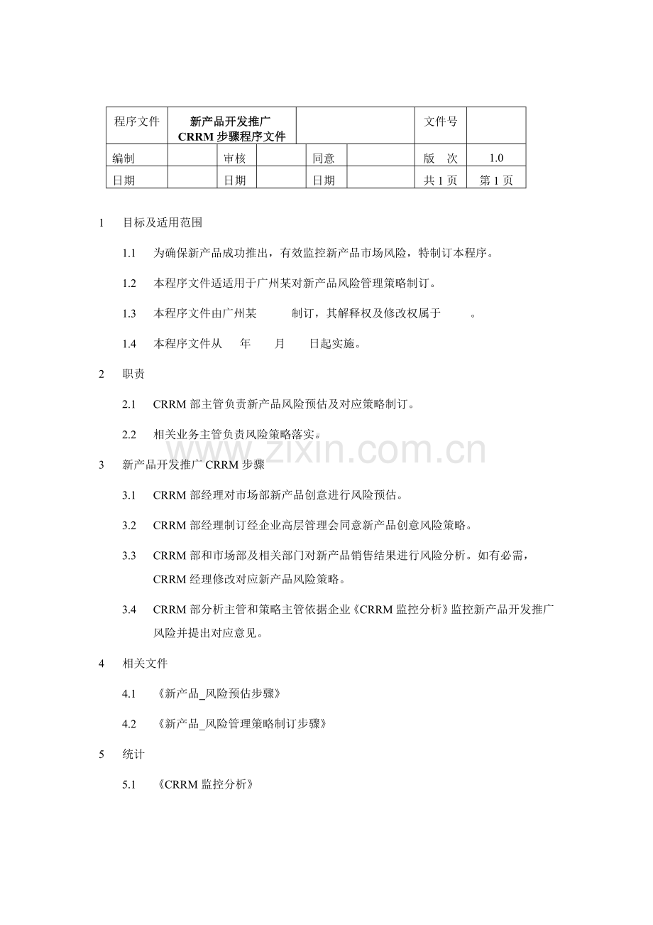 CRRM目标与策略制定流程模板.doc_第2页