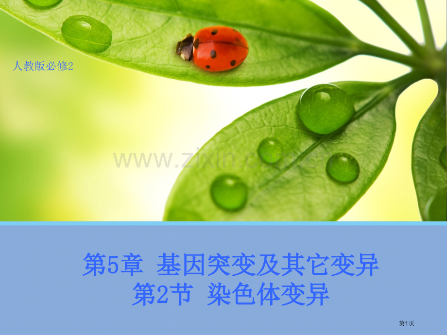 生物染色体变异人教版必修省公共课一等奖全国赛课获奖课件.pptx_第1页