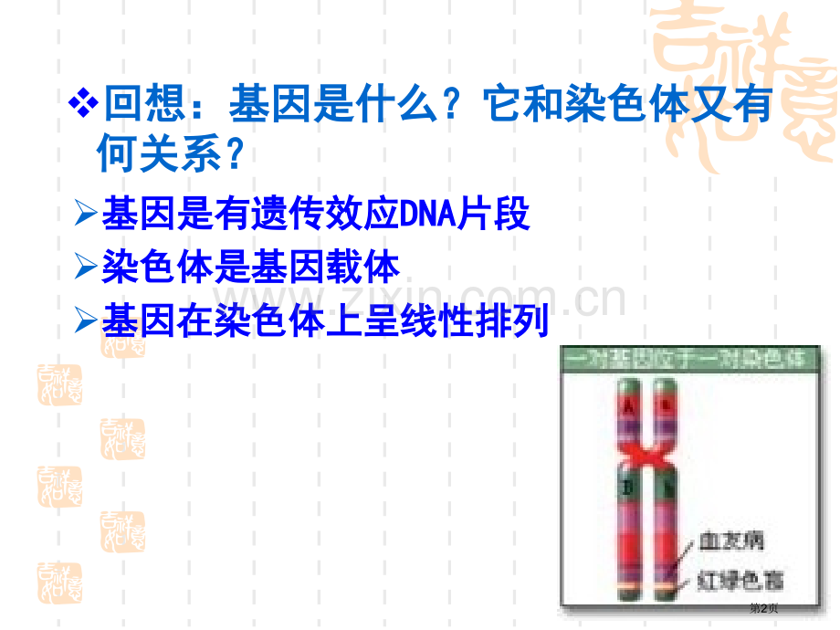 生物染色体变异人教版必修省公共课一等奖全国赛课获奖课件.pptx_第2页