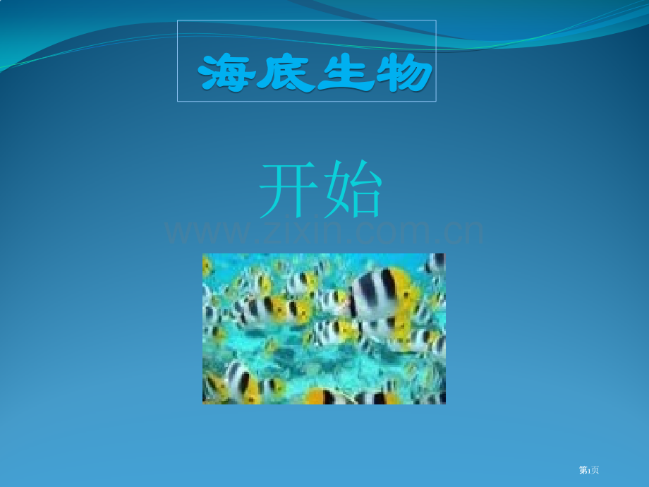 海底生物主题知识讲座省公共课一等奖全国赛课获奖课件.pptx_第1页