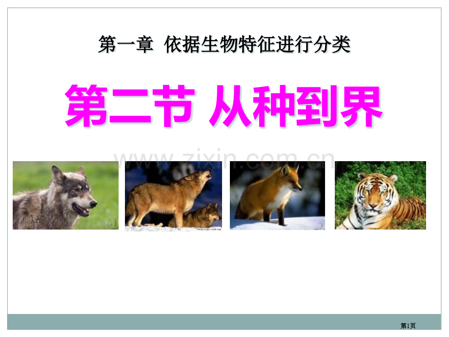 从种到界根据生物的特征进行分类省公开课一等奖新名师优质课比赛一等奖课件.pptx_第1页