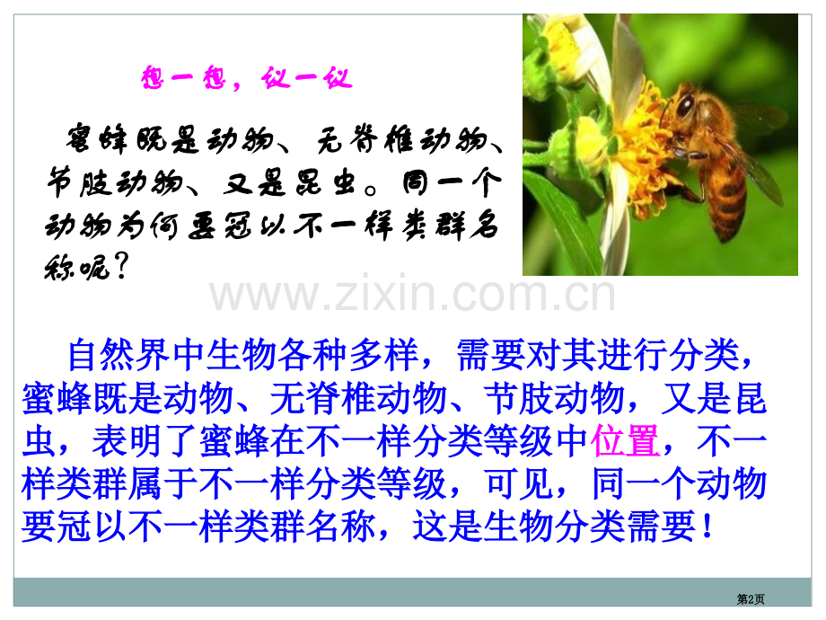 从种到界根据生物的特征进行分类省公开课一等奖新名师优质课比赛一等奖课件.pptx_第2页