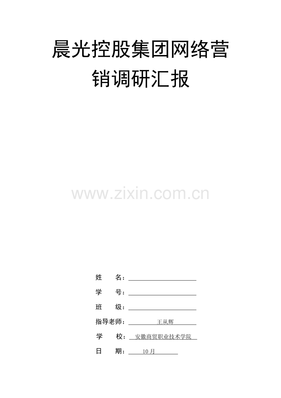 晨光控股集团有限公司网络营销调研研究报告.doc_第1页