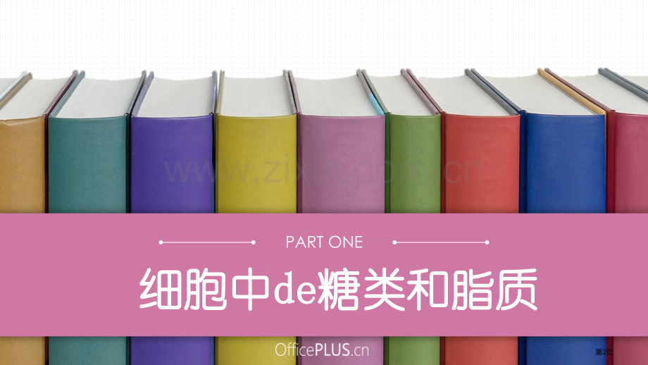 生物必修糖类省公共课一等奖全国赛课获奖课件.pptx_第2页