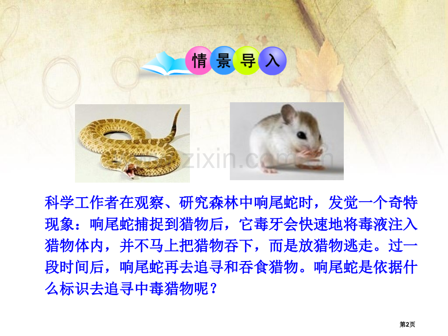 生物学研究的基本方法省公开课一等奖新名师优质课比赛一等奖课件.pptx_第2页