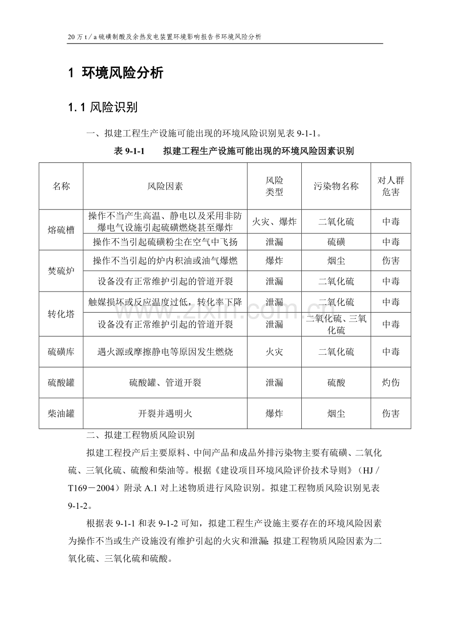 20万ta硫磺制酸及余热发电装置环境评估报告环境风险分析报告.doc_第1页