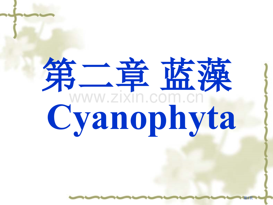 水生生物蓝藻省公共课一等奖全国赛课获奖课件.pptx_第1页