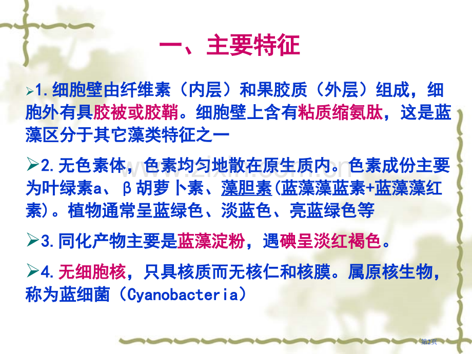 水生生物蓝藻省公共课一等奖全国赛课获奖课件.pptx_第2页