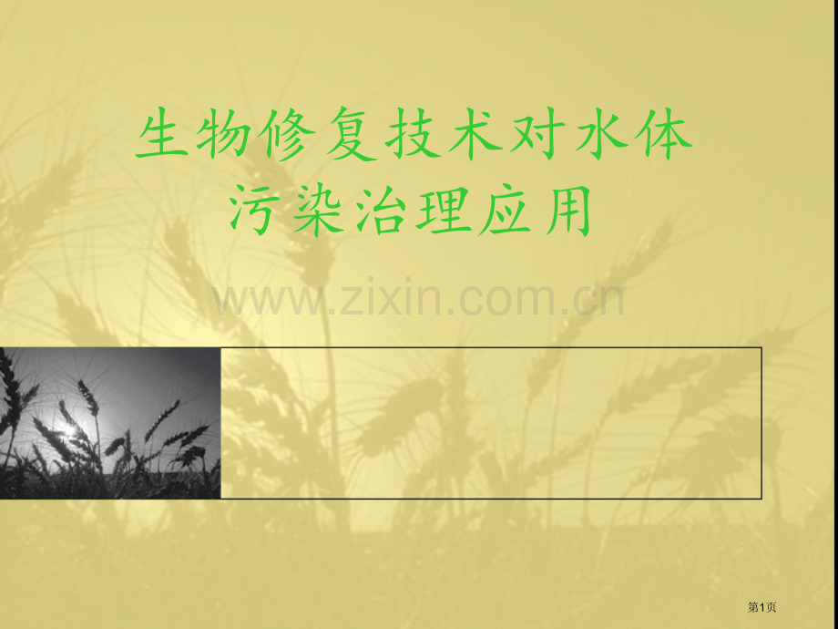 生物修复技术对水体污染治理的应用省公共课一等奖全国赛课获奖课件.pptx_第1页