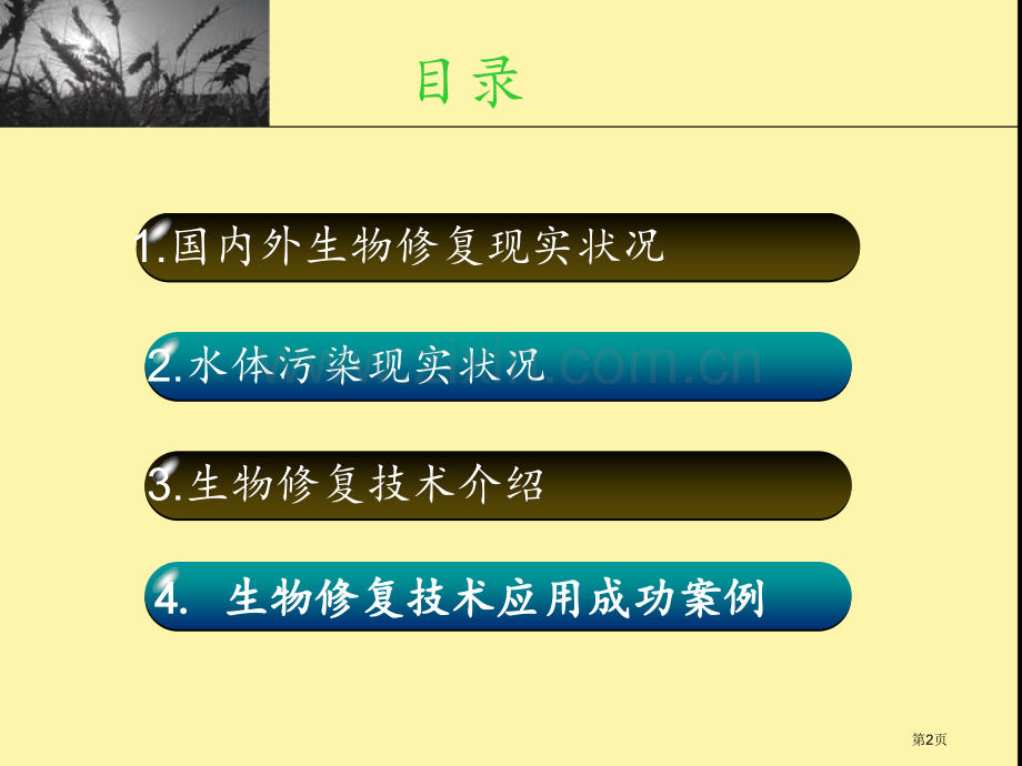 生物修复技术对水体污染治理的应用省公共课一等奖全国赛课获奖课件.pptx_第2页