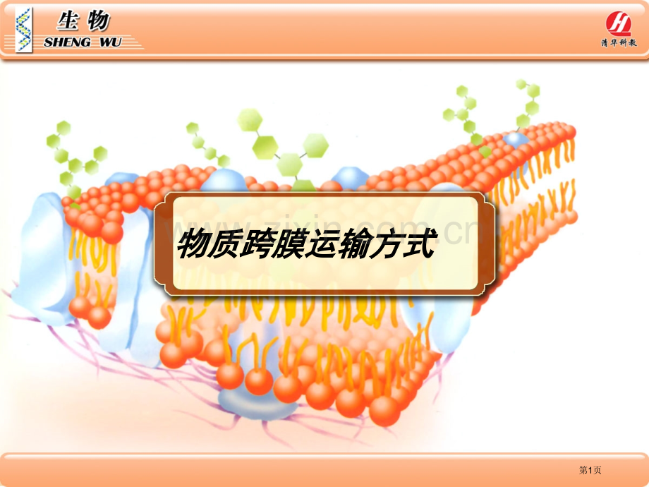必修物质跨膜运输的方式市公开课一等奖百校联赛获奖课件.pptx_第1页