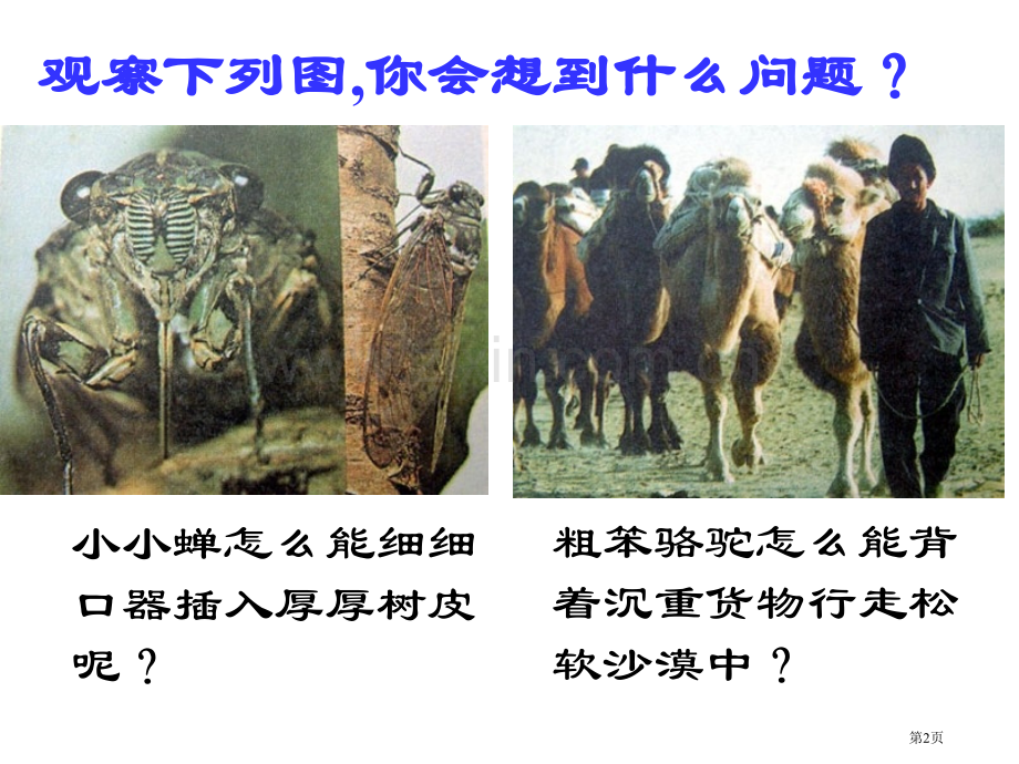 人教九级物理第十四第一市公开课一等奖百校联赛特等奖课件.pptx_第2页