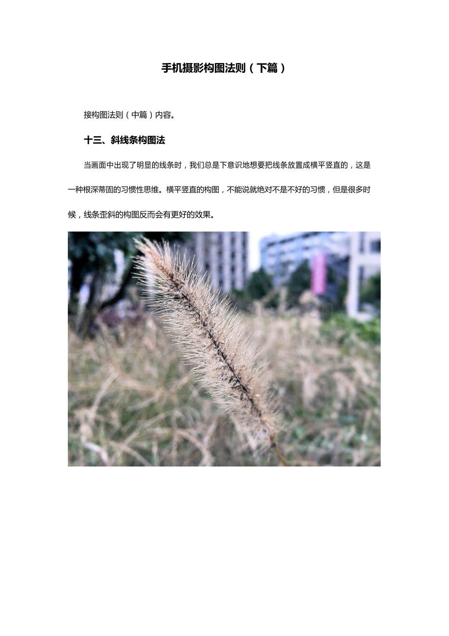【手机摄影】手机摄影构图法则.docx_第1页