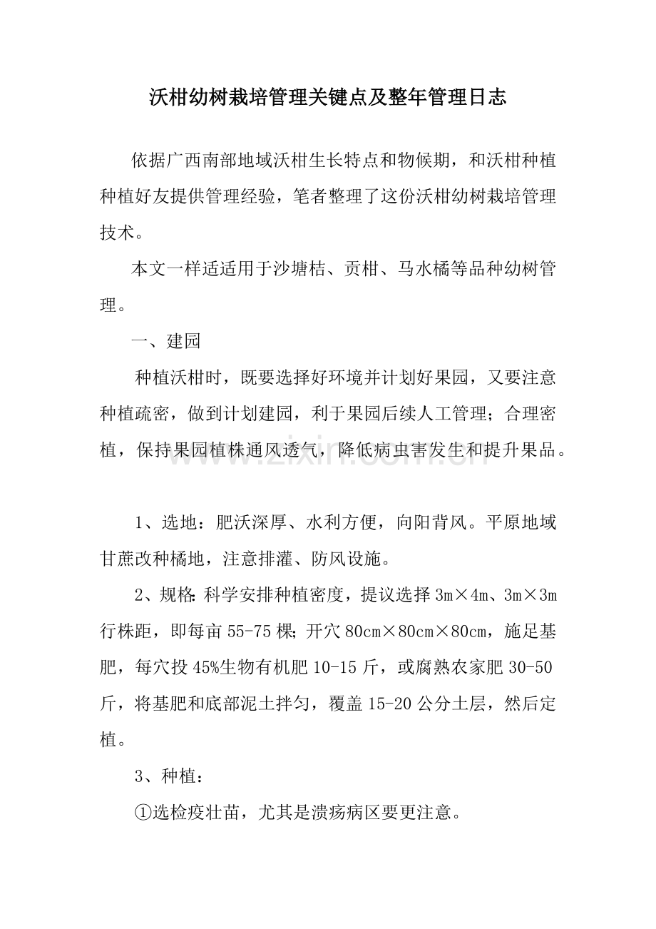 沃柑幼树栽培管理关键点及全年管理日记.docx_第1页