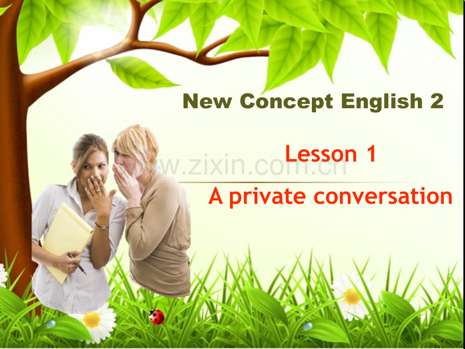 新概念第二册Lesson1Aprivateconversation市公开课一等奖百校联赛获奖课件.pptx_第2页