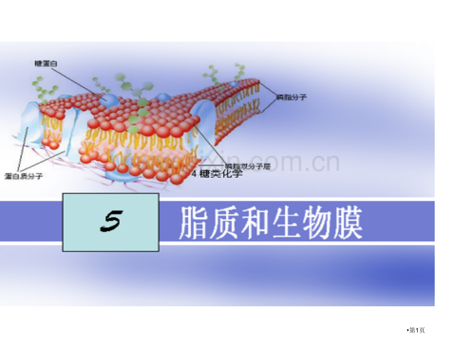 生物化学脂质和生物膜省公共课一等奖全国赛课获奖课件.pptx_第1页