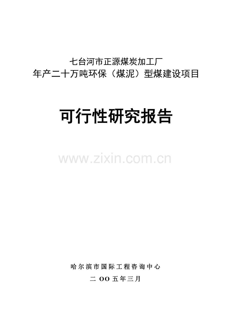 年产二十万吨环保煤泥型煤项目建设可行性研究报告.doc_第1页