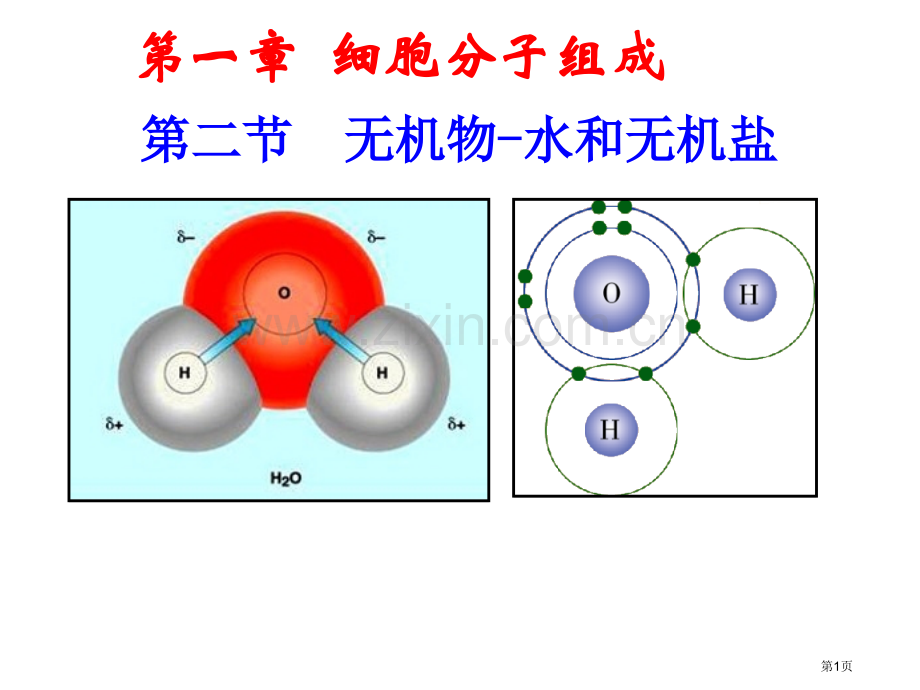 高中生物无机物水和无机盐省公共课一等奖全国赛课获奖课件.pptx_第1页