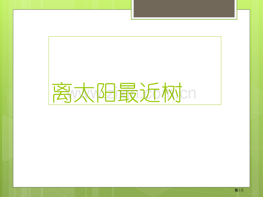离太阳最近的树练习题市公开课一等奖百校联赛获奖课件.pptx_第1页