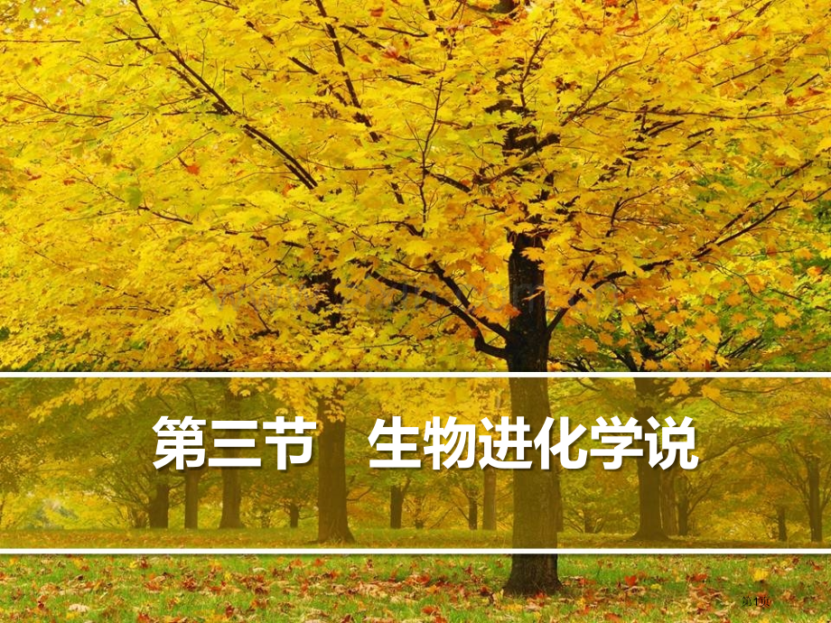 生物进化的学说课件省公开课一等奖新名师优质课比赛一等奖课件.pptx_第1页