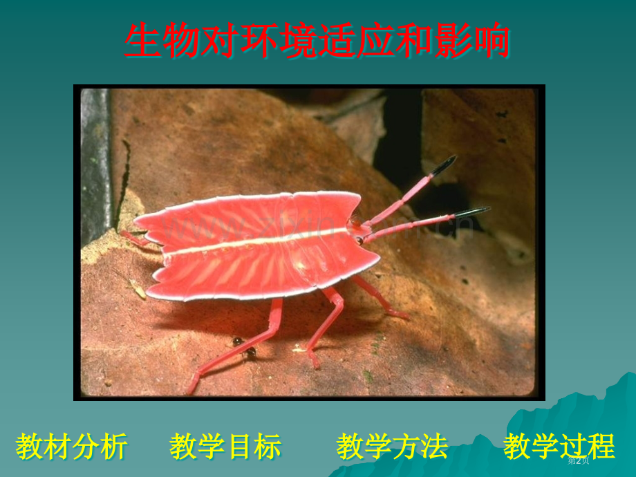 生物对环境的适应和影响王新元省公共课一等奖全国赛课获奖课件.pptx_第2页