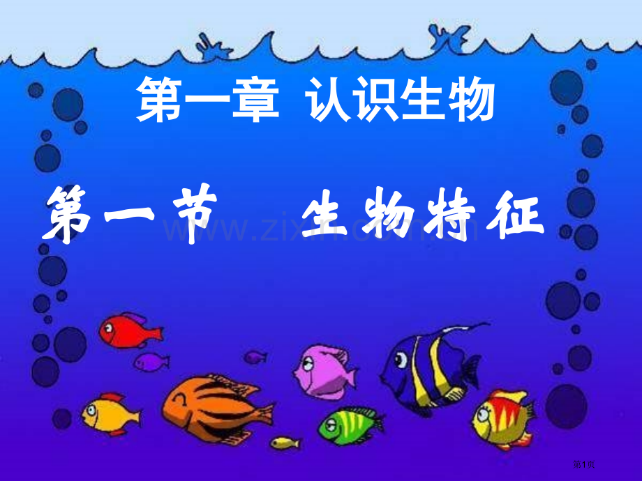 认识生物生物的特征用省公共课一等奖全国赛课获奖课件.pptx_第1页