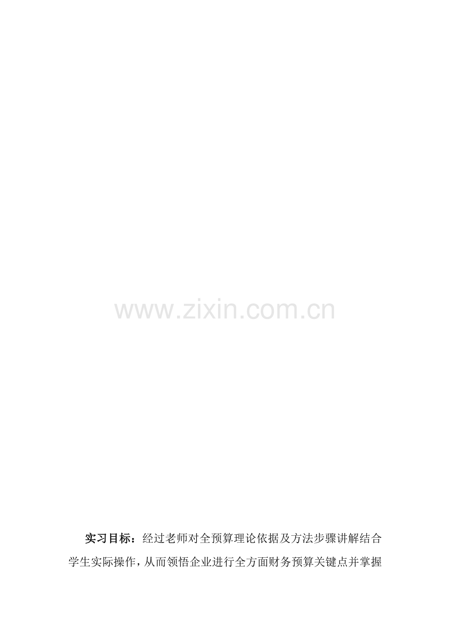 全面专项预算编制实训综合报告.doc_第2页