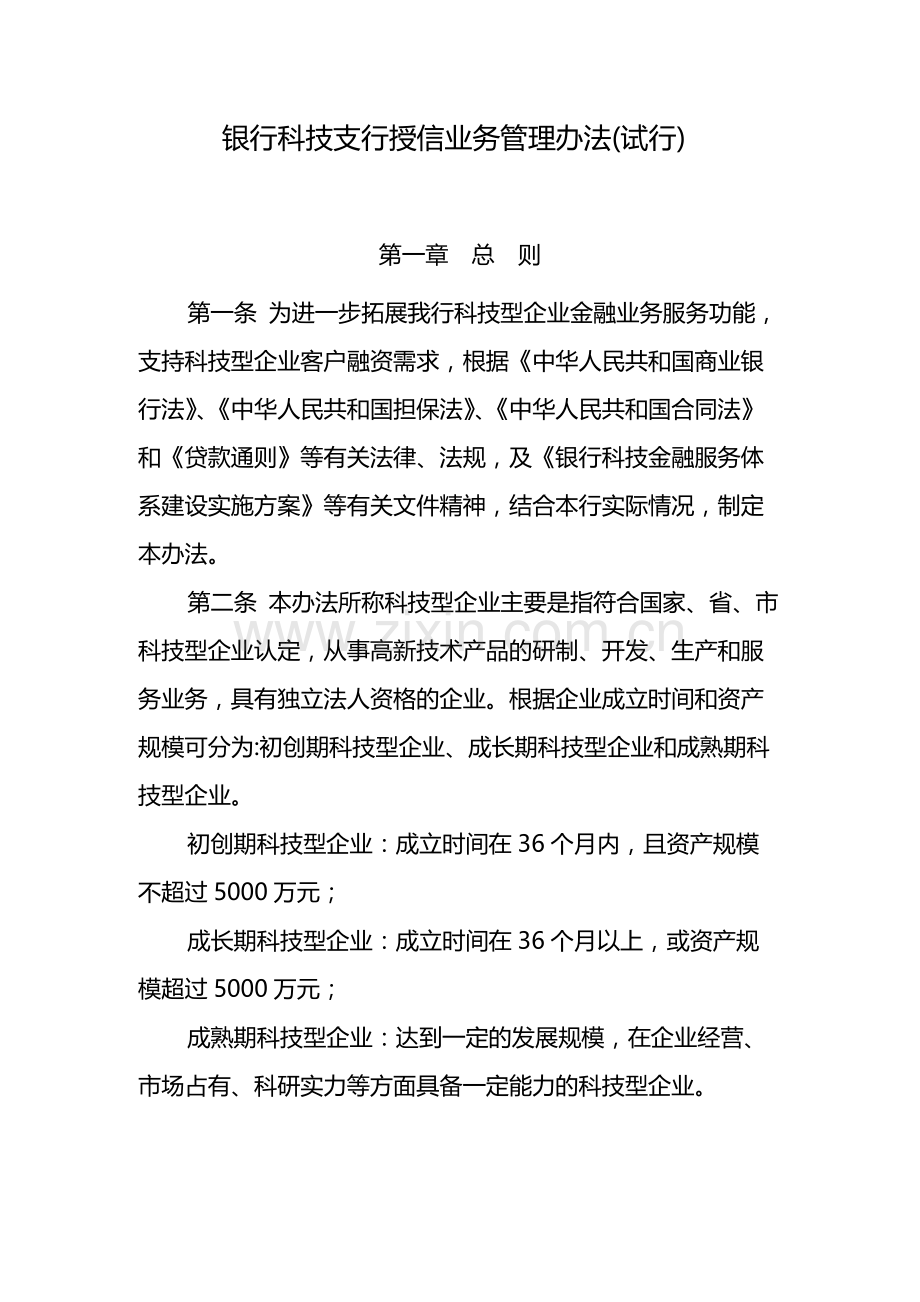 银行科技支行授信业务管理办法(试行)-模版.docx_第1页