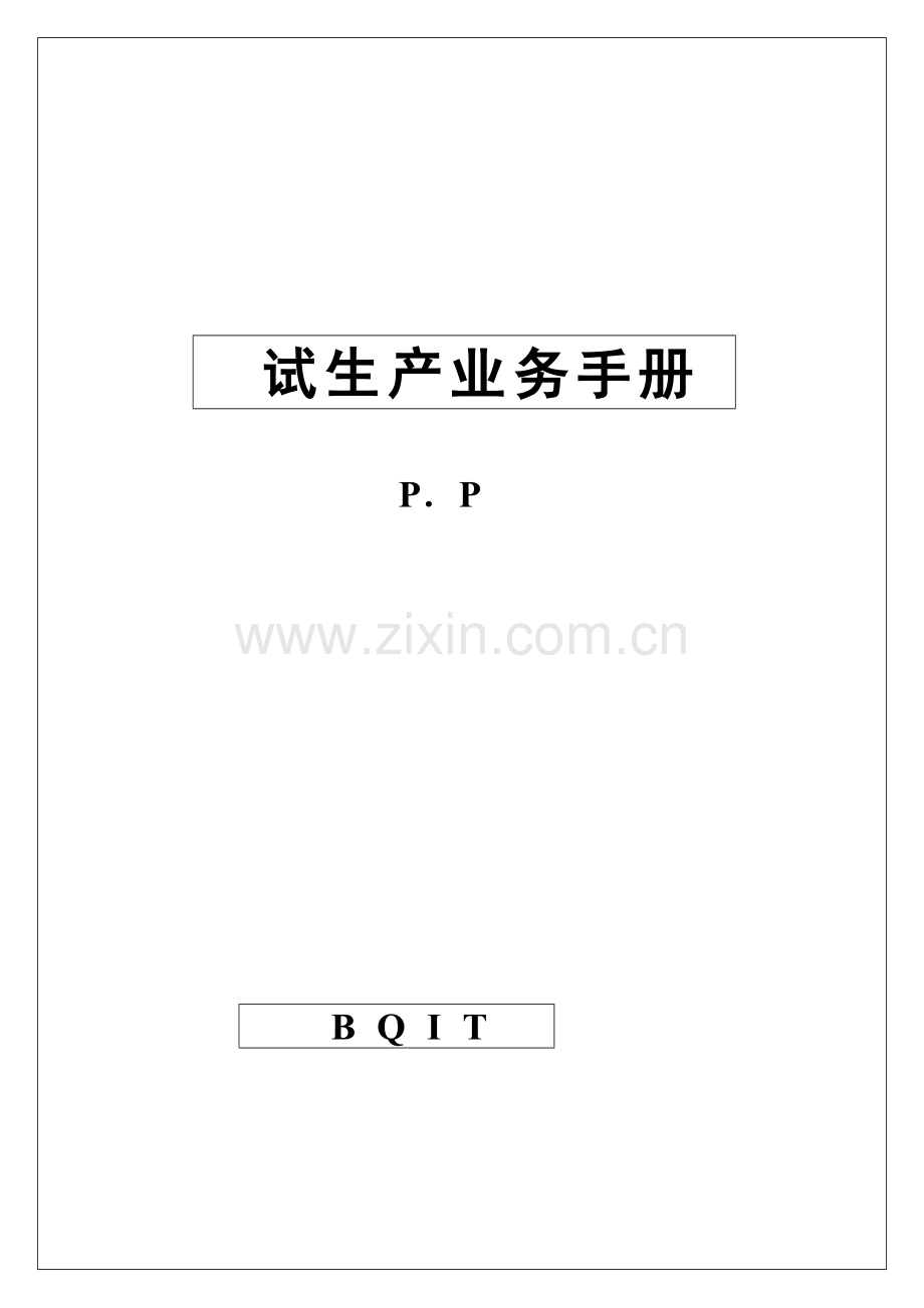 pp业务手册模板.doc_第1页