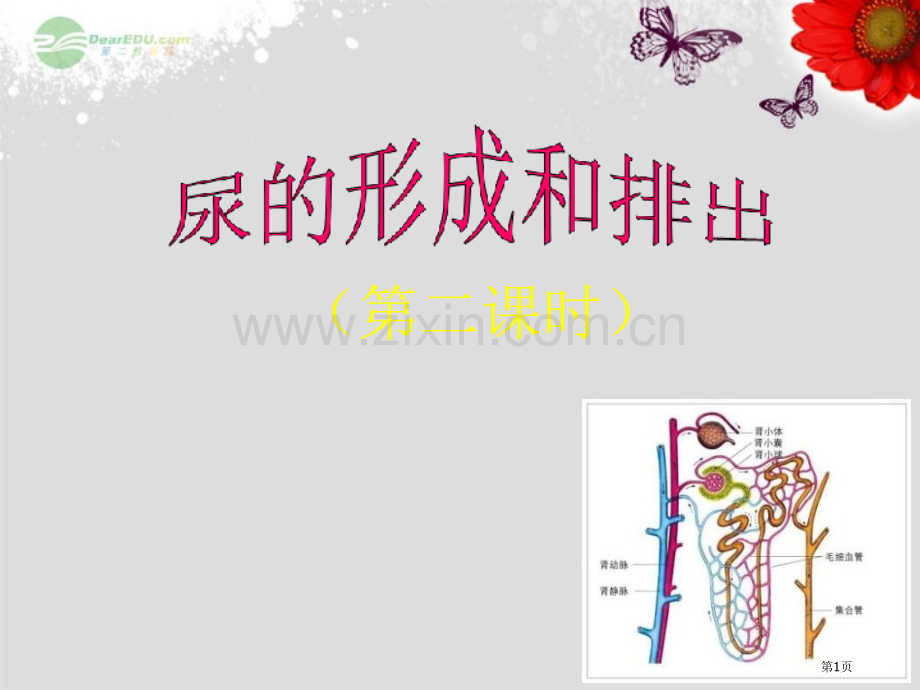 广东省仁化县周田中学七年级生物下册人体废物的排出第二课时北师大版省公共课一等奖全国赛课获奖课件.pptx_第1页